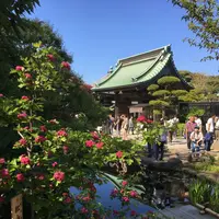 長谷寺の写真・動画_image_135974