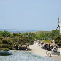 国営ひたち海浜公園の写真・動画_image_136066