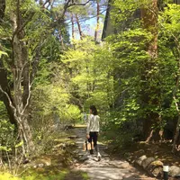 明治の館の写真・動画_image_136127