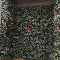 24"7の写真・動画_image_136163