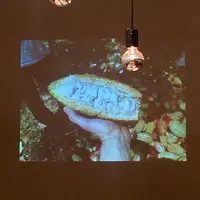 Dandelion Chocolate（ダンデライオンチョコレート）の写真・動画_image_136285