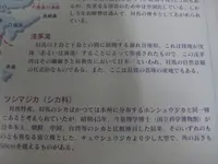 対馬ふるさと伝承館の写真・動画_image_136346