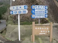 対馬ふるさと伝承館の写真・動画_image_136378