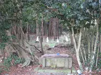 対馬ふるさと伝承館の写真・動画_image_136387