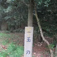 対馬ふるさと伝承館の写真・動画_image_136388