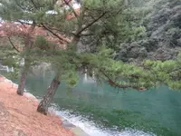 対馬ふるさと伝承館の写真・動画_image_136390