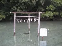対馬ふるさと伝承館の写真・動画_image_136397