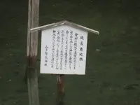 対馬ふるさと伝承館の写真・動画_image_136398