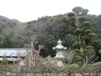 対馬ふるさと伝承館の写真・動画_image_136409