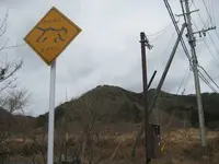 対馬ふるさと伝承館の写真・動画_image_136417