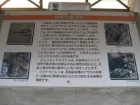 対馬ふるさと伝承館の写真・動画_image_136436