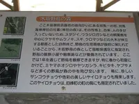 対馬ふるさと伝承館の写真・動画_image_136437