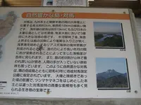 対馬ふるさと伝承館の写真・動画_image_136438