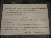 対馬ふるさと伝承館の写真・動画_image_136439