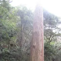 対馬ふるさと伝承館の写真・動画_image_136445