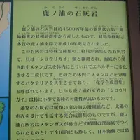 対馬ふるさと伝承館の写真・動画_image_136457