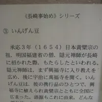 長崎市の写真・動画_image_136488