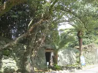 五島列島の写真・動画_image_136512