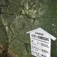 五島列島の写真・動画_image_136513