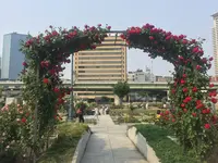 中之島公園の写真・動画_image_136602