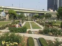 中之島公園の写真・動画_image_136603