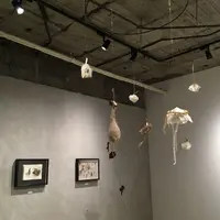 haseの写真・動画_image_136626