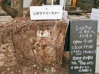 シロクマベーカリー 本店の写真・動画_image_136645