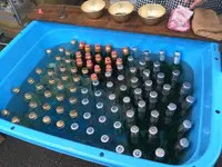 スワンの写真・動画_image_136691