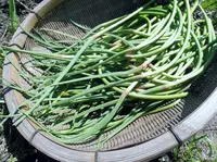 明王山 展望台の写真・動画_image_136855