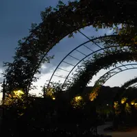 あしかがフラワーパークの写真・動画_image_136961