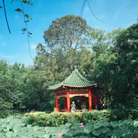 台北植物園の写真・動画_image_137026