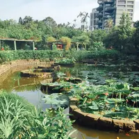台北植物園の写真・動画_image_137027