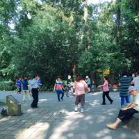 台北植物園の写真・動画_image_137029