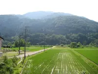 白川郷合掌造りの写真・動画_image_137077