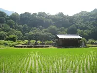 白川郷合掌造りの写真・動画_image_137090
