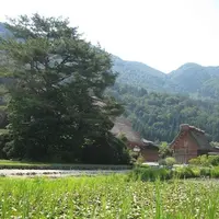 白川郷合掌造りの写真・動画_image_137098