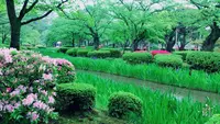 兼六園の写真・動画_image_137122
