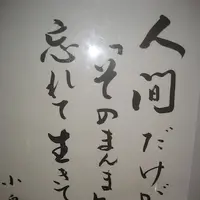 白川郷合掌造りの写真・動画_image_137129