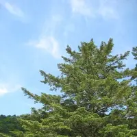 飛騨大鍾乳洞の写真・動画_image_137160