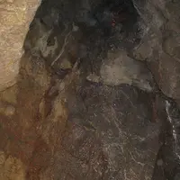 飛騨大鍾乳洞の写真・動画_image_137169