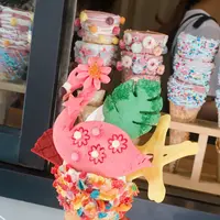 Bistoppingの写真・動画_image_137274