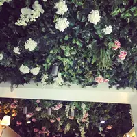 heart&arrowの写真・動画_image_137290