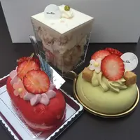 シンフラの写真・動画_image_137294