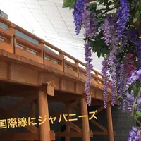 羽田空港（東京国際空港）の写真・動画_image_137386