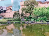 毛利庭園の写真・動画_image_137465