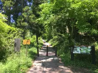山吹水源の写真・動画_image_137685