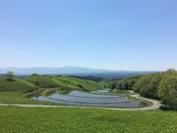 山吹水源の写真・動画_image_137686