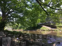 水源けやきの写真・動画_image_137690