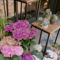 エッセンス カフェ （essence cafe）の写真・動画_image_137702