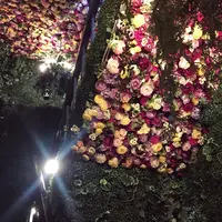 エッセンス カフェ （essence cafe）の写真・動画_image_137707